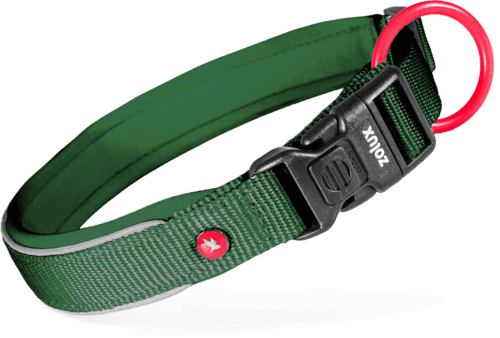ZOLUX Premium-Nylon-Hundehalsband, Größe M, 40–45 cm, 20 mm, grün – Bild 2