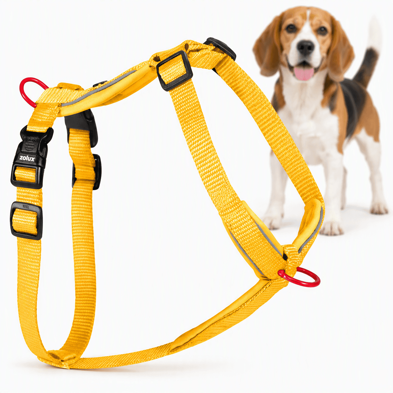 ZOLUX Premium-Nylon-Hundegeschirr, Größe M, 50–74 cm, 20 mm, gelb – Bild 1