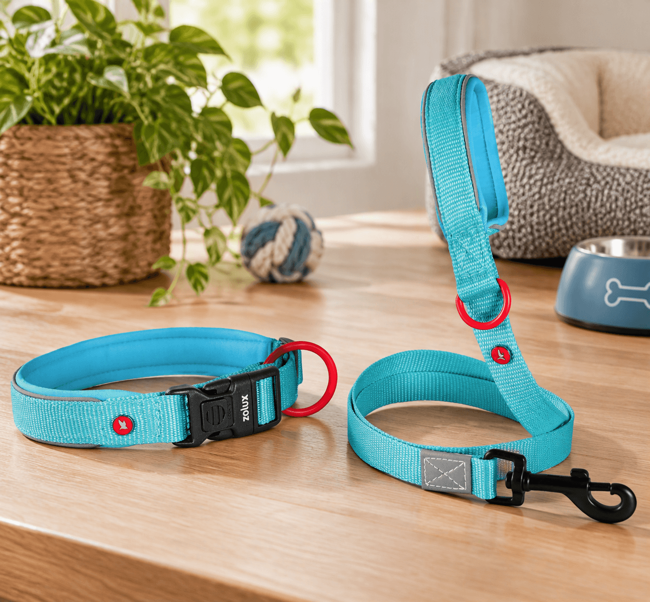 ZOLUX Premium-Nylon-Hundeleine, Größe XS, 1,2 m, 15 mm, türkis – Bild 7