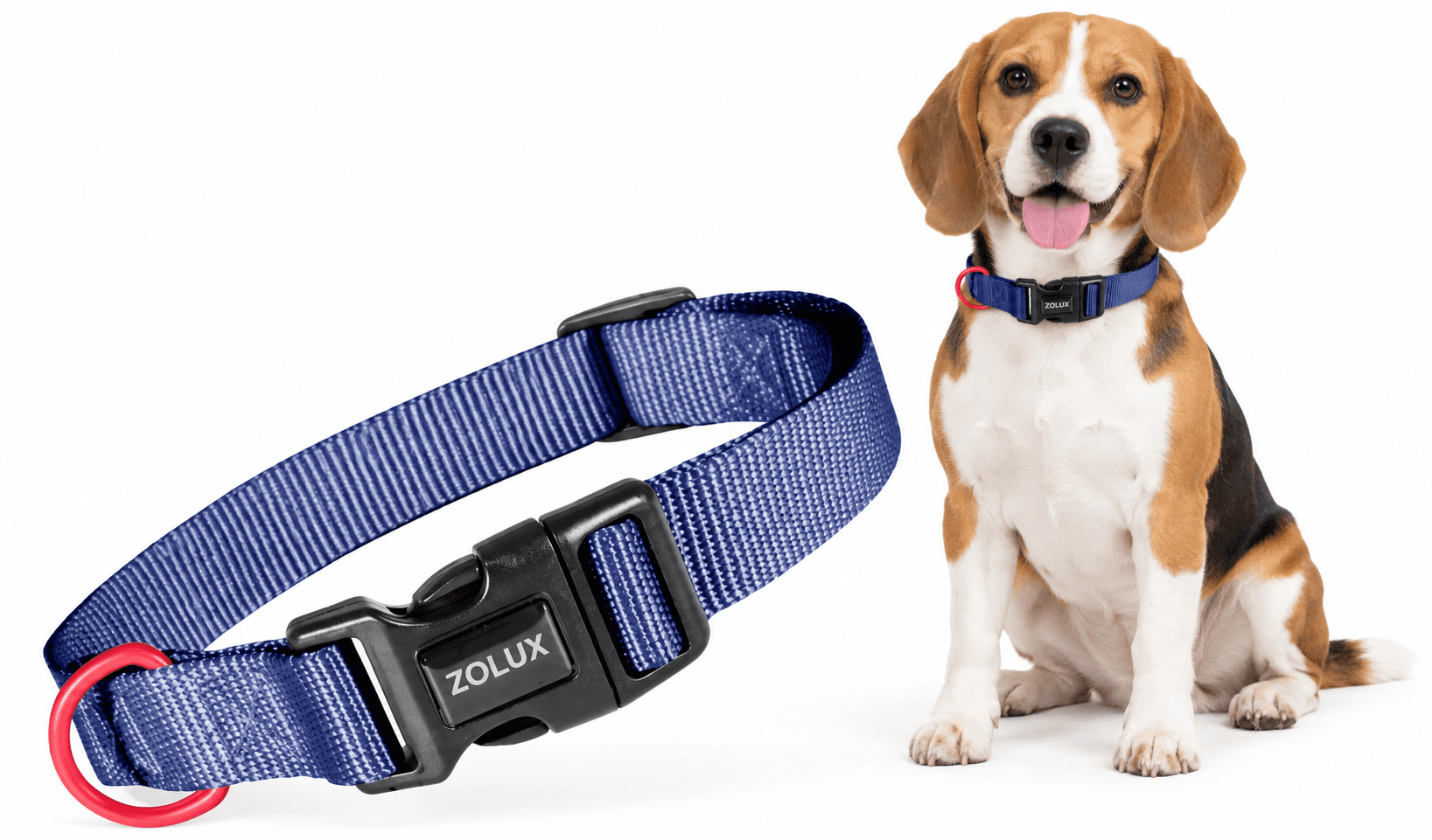 ZOLUX Klassisches Nylon-Hundehalsband, 26–39 cm, 15 mm, marineblau – Bild 3