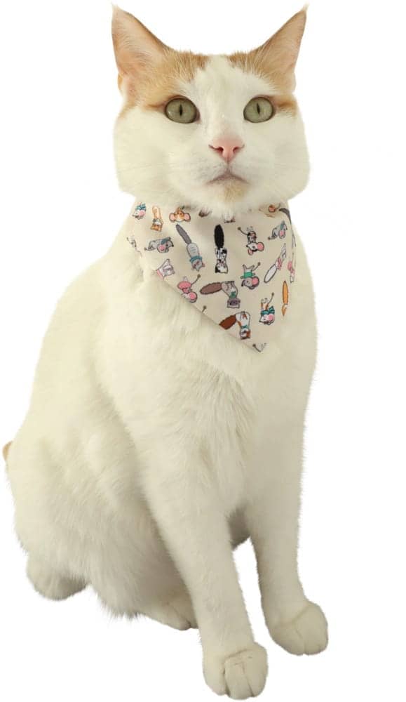 ZOLUX CHATOUILLE Katzenhalsband mit Bandana, Katzen- und Mäusemotiv – Bild 2