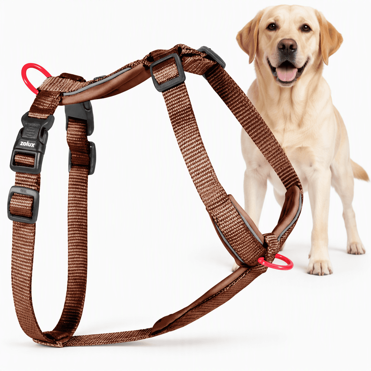 ZOLUX Premium-Nylon-Hundegeschirr, Größe L/XL, 65–97 cm, 25 mm, mocha – Bild 1