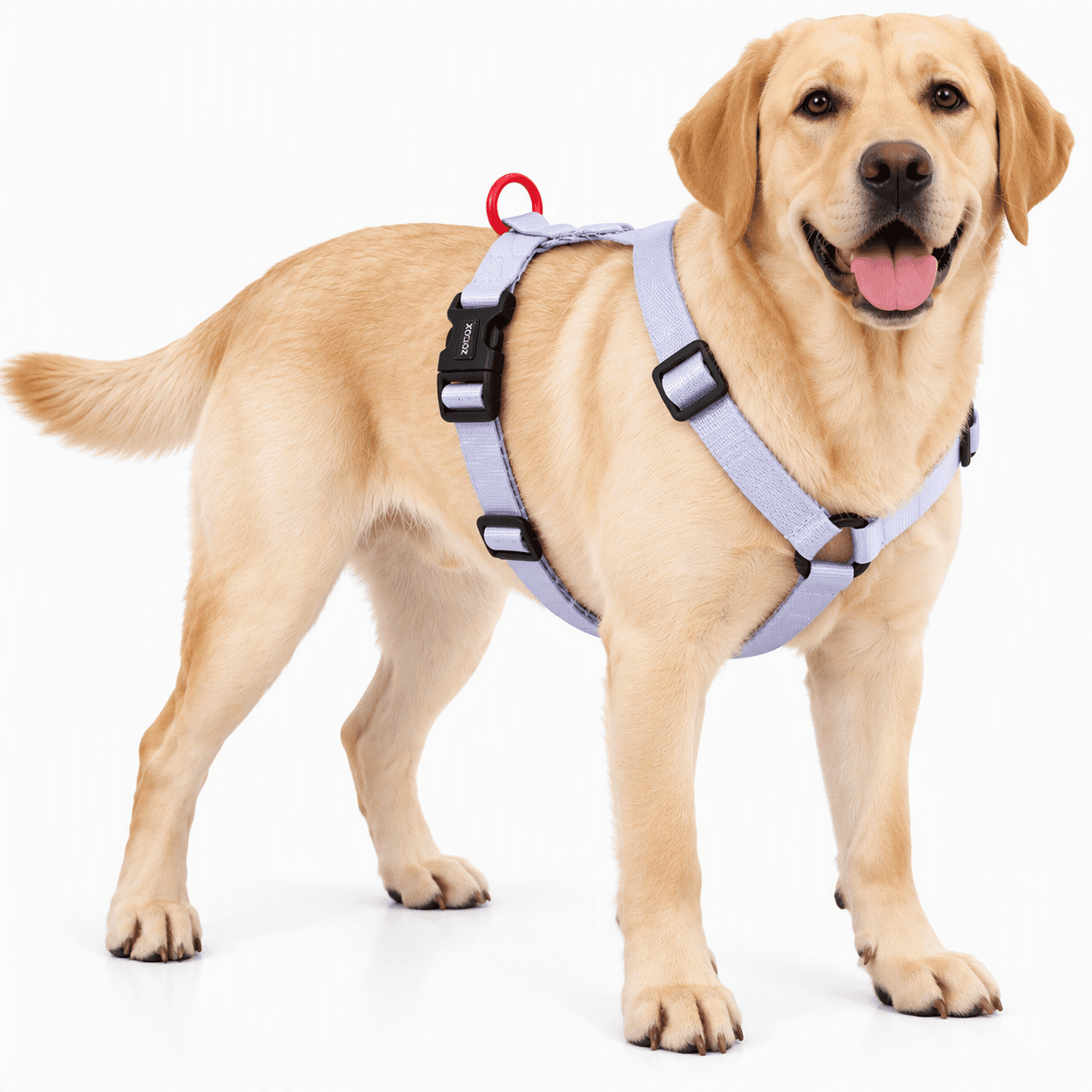ZOLUX Klassisches Nylon-Hundegeschirr, 60–89 cm, 25 mm, lila – Bild 6