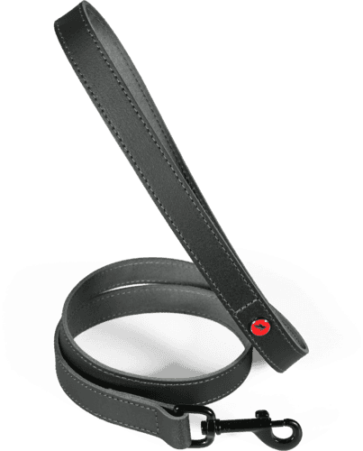 ZOLUX Klassische Lederleine für Hunde, 1 m, 20 mm, schwarz – Bild 2