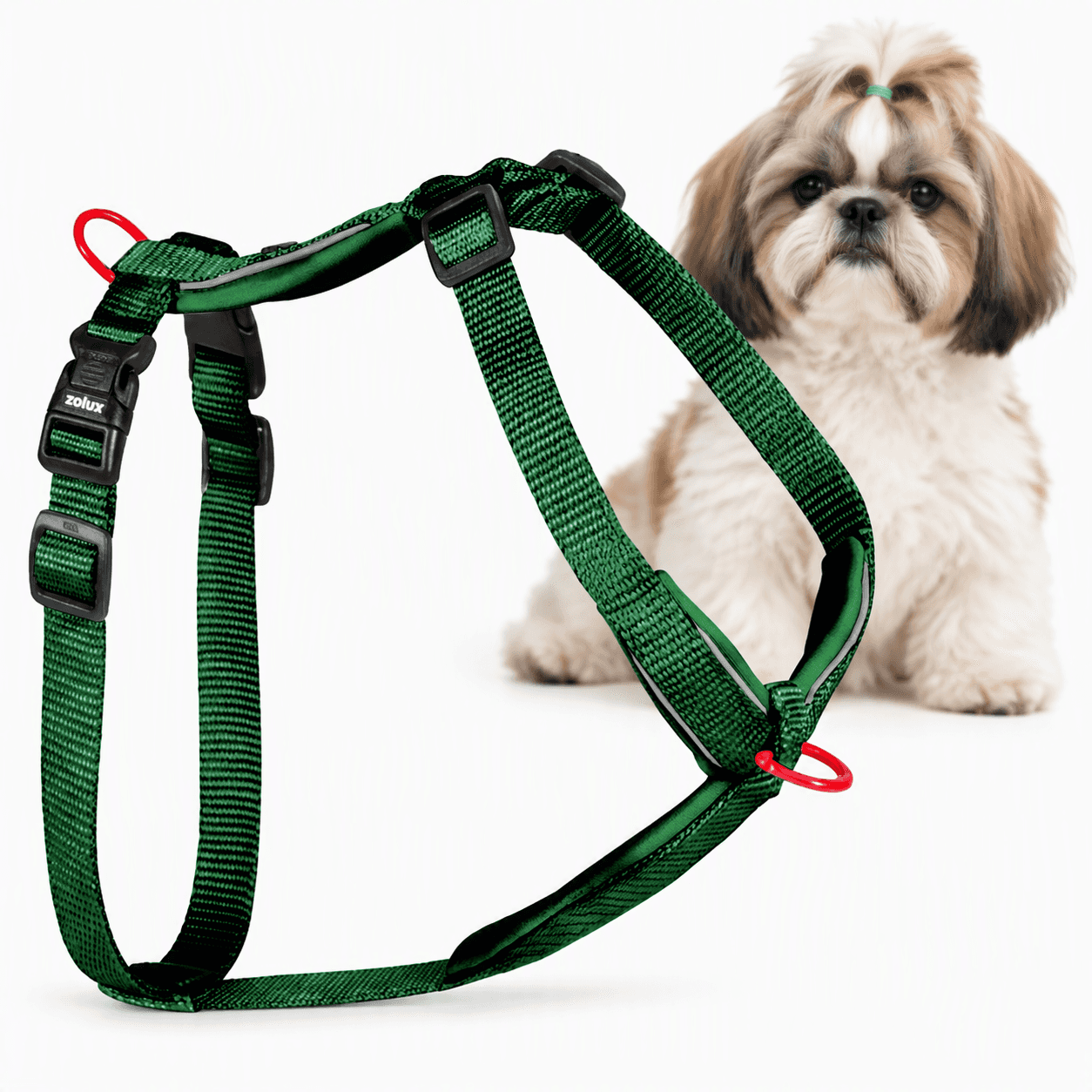 ZOLUX Premium-Nylon-Hundegeschirr, Größe S, 38–56 cm, 15 mm, grün – Bild 1
