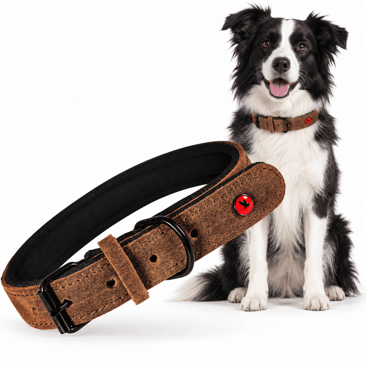 ZOLUX Komfort-Lederhalsband für Hunde, 33–39 cm, 18 mm, braun – Bild 1
