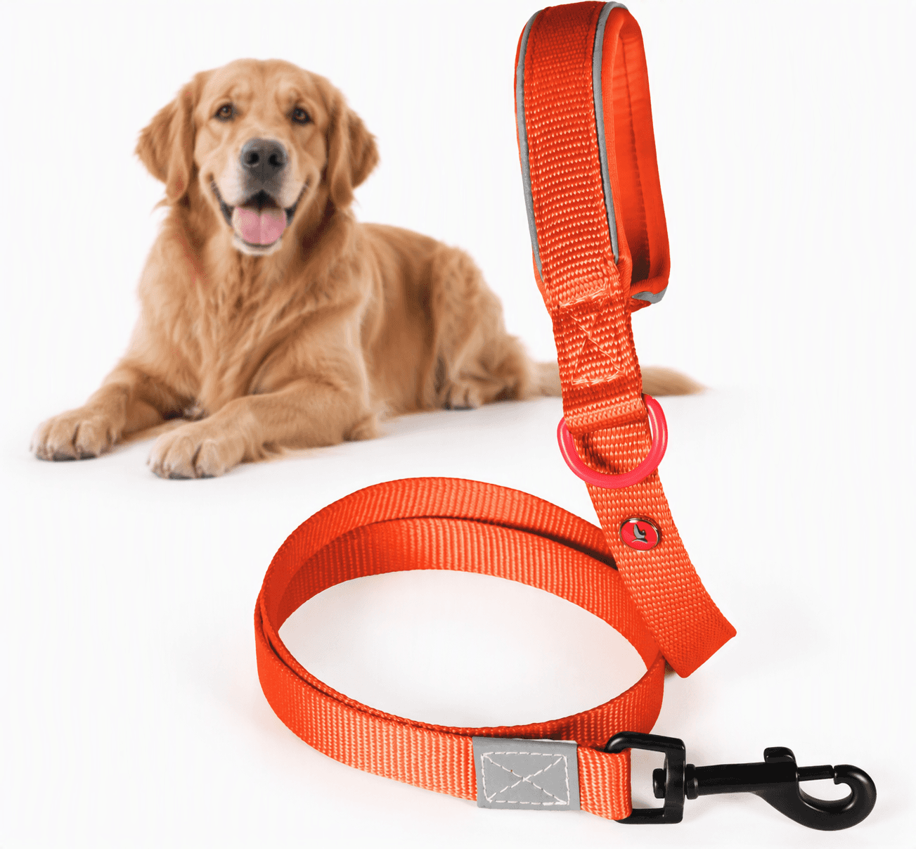 ZOLUX Premium-Nylon-Hundeleine, Größe XL, 1,2 m, 25 mm, rostbraun – Bild 1