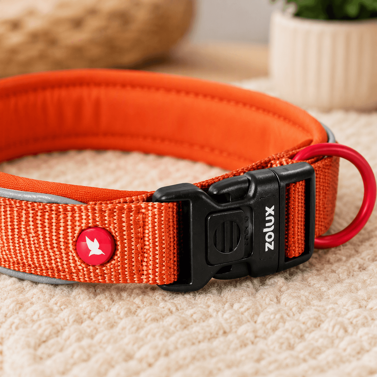 ZOLUX Premium-Nylon-Hundehalsband, Größe XXS, 25–30 cm, 15 mm, rostbraun – Bild 4