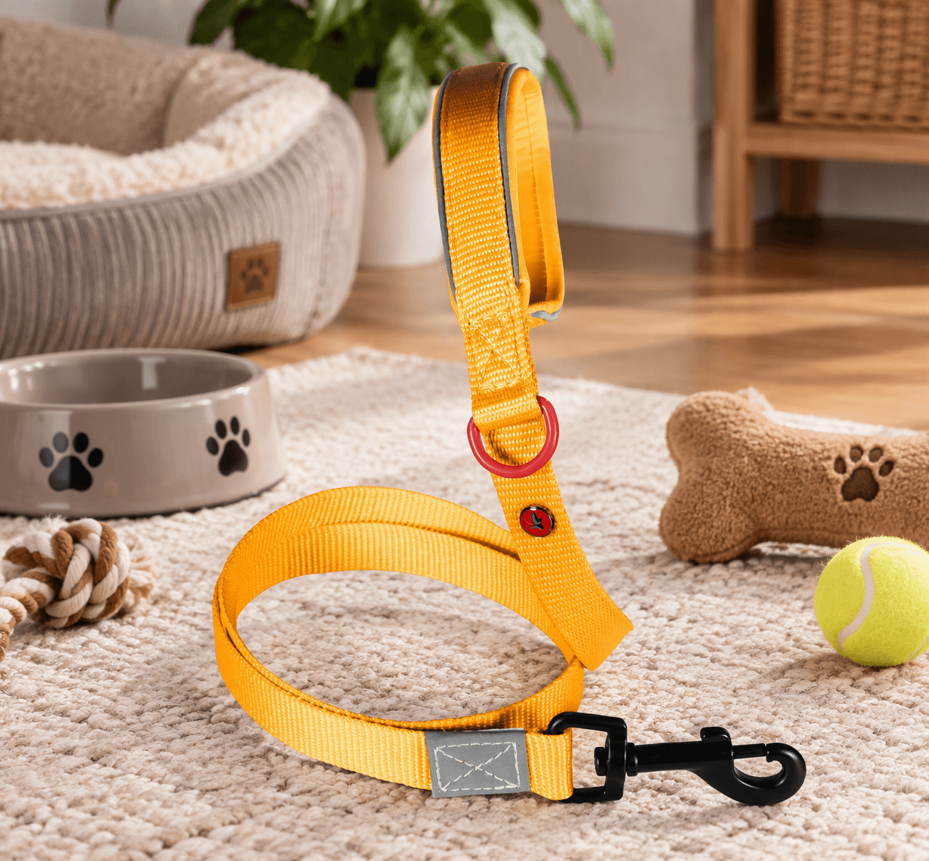 ZOLUX Premium-Nylon-Hundeleine, Größe M, 1,2 m, 20 mm, gelb – Bild 4
