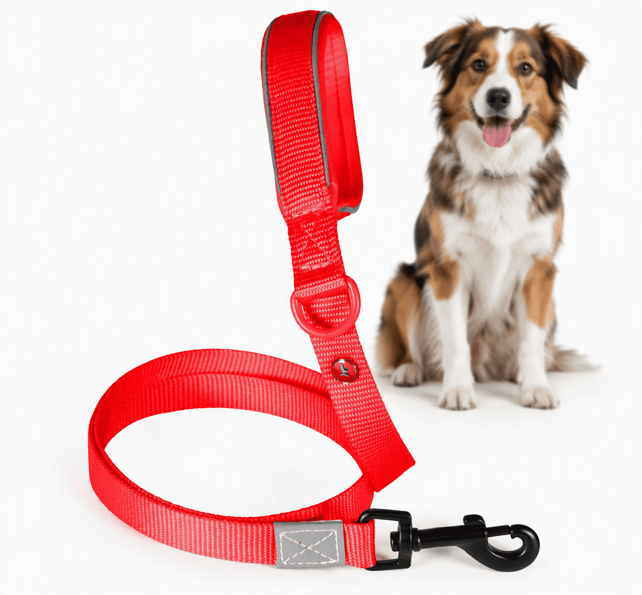 ZOLUX Premium-Nylon-Hundeleine, Größe M, 1,2 m, 20 mm, rot – Bild 1