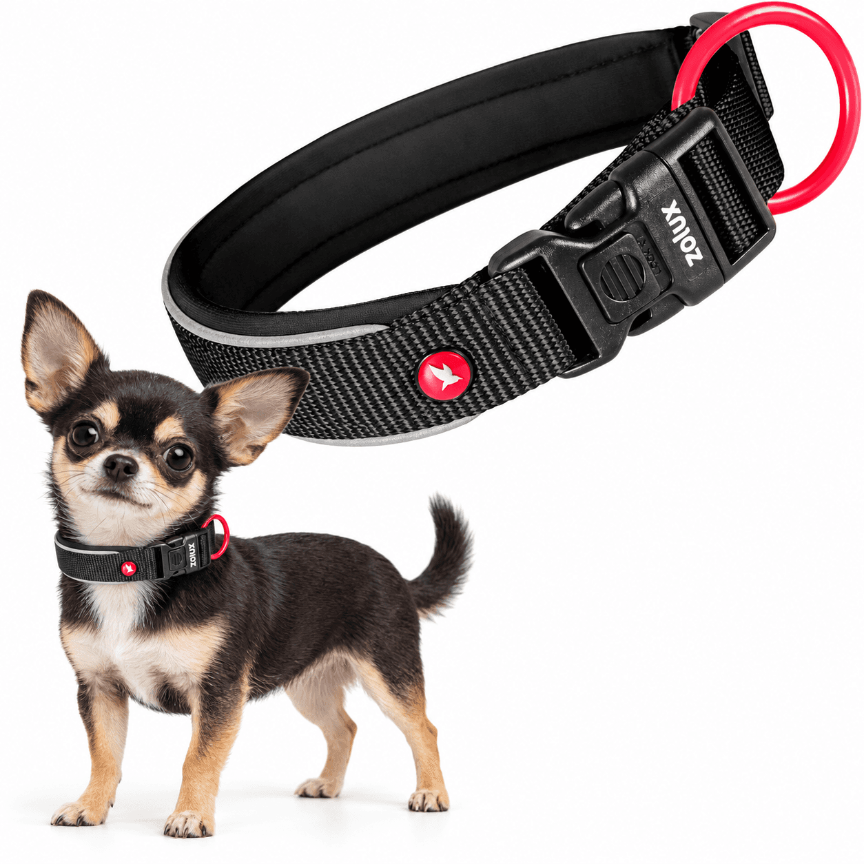 ZOLUX Premium-Nylon-Hundehalsband, Größe XXS, 25–30 cm, 15 mm, schwarz – Bild 1