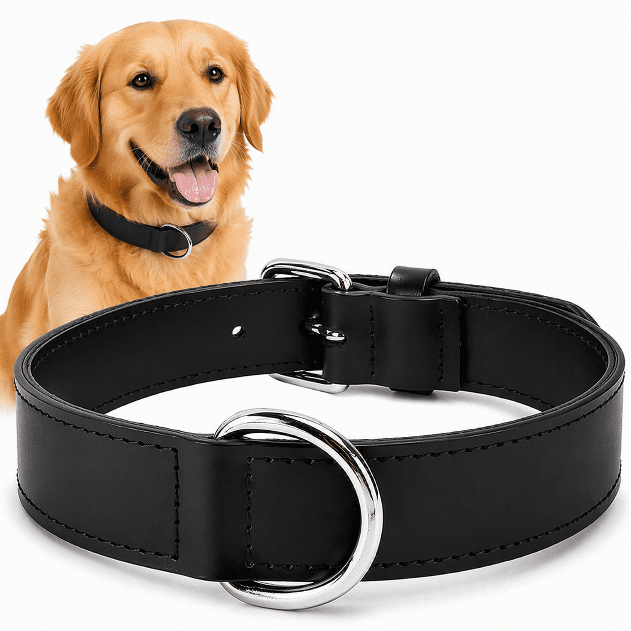 ZOLUX Verstärktes Hundehalsband aus Doppel-Leder, 45 cm, schwarz – Bild 2
