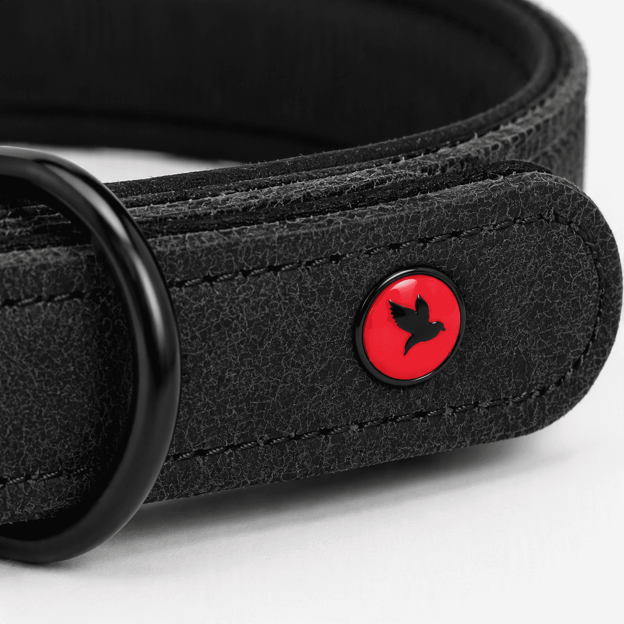 ZOLUX Komfort-Lederhalsband für Hunde, 41–53 cm, 25 mm, schwarz – Bild 6