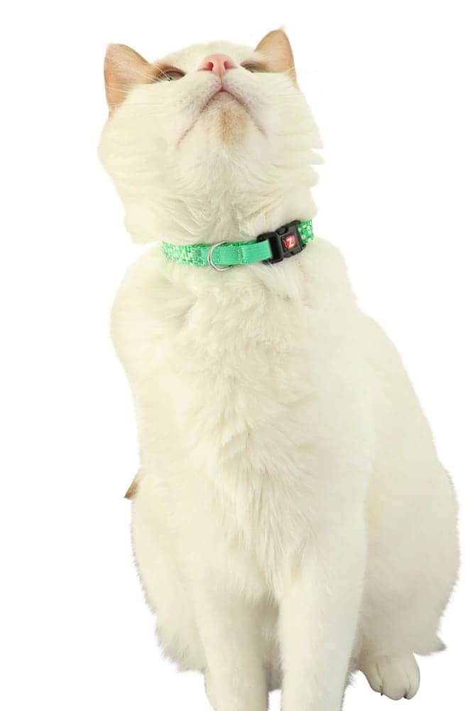 ZOLUX CHATOUILLE Katzenhalsband mit Vogel-Anhänger, grün – Bild 2