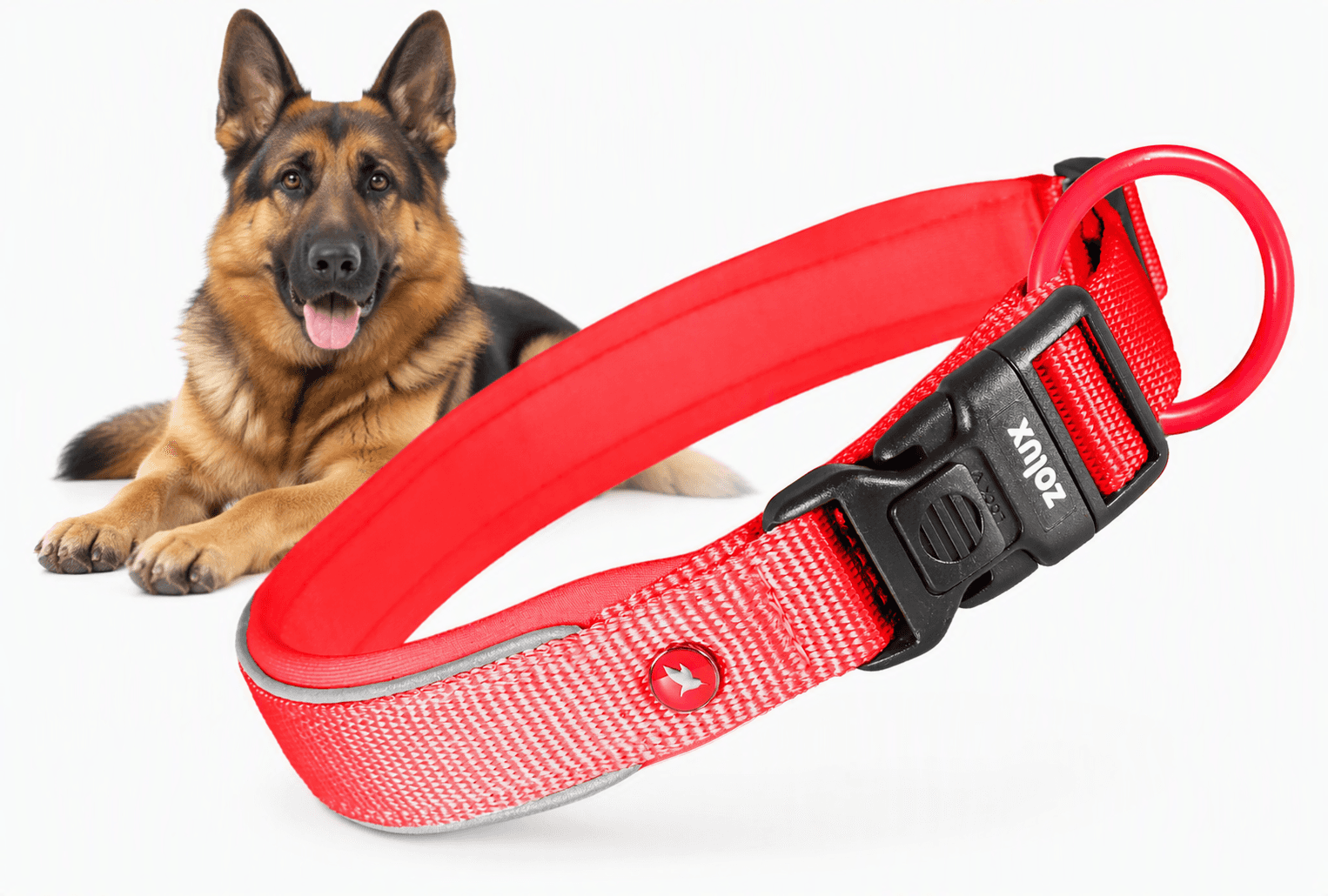 ZOLUX Premium-Nylon-Hundehalsband, Größe L, 45–50 cm, 25 mm, rot – Bild 1
