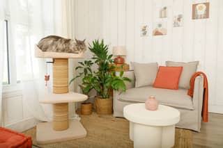 ZOLUX Kratzbaum für Katzen BOREAL, beige, 95 cm – Bild 1
