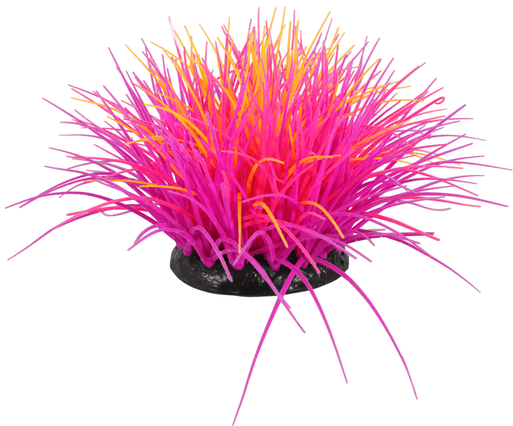 ZOLUX Aquariendekoration FLOWERS 4 violett-rosa fluoreszierend – Bild 1