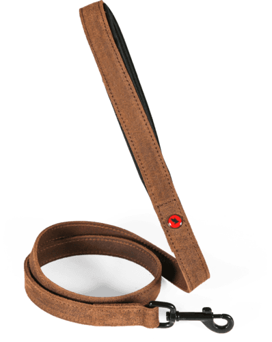 ZOLUX Komfort-Lederleine für Hunde, 1 m, 20 mm, braun – Bild 2