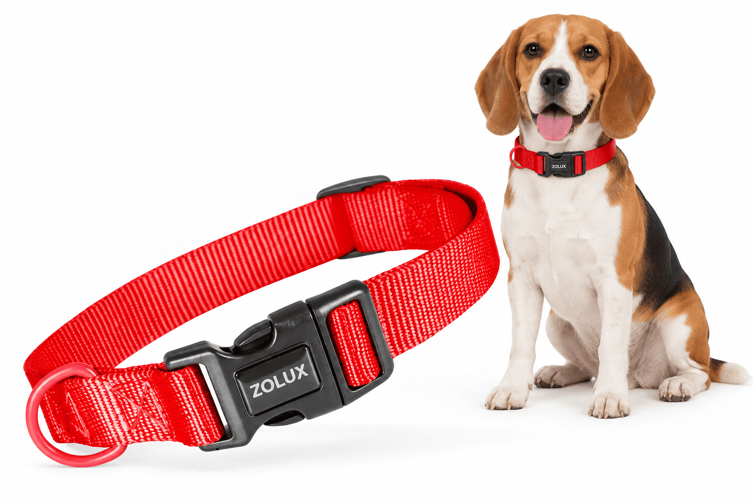 ZOLUX Klassisches Nylon-Hundehalsband, 26–39 cm, 15 mm, rot – Bild 1