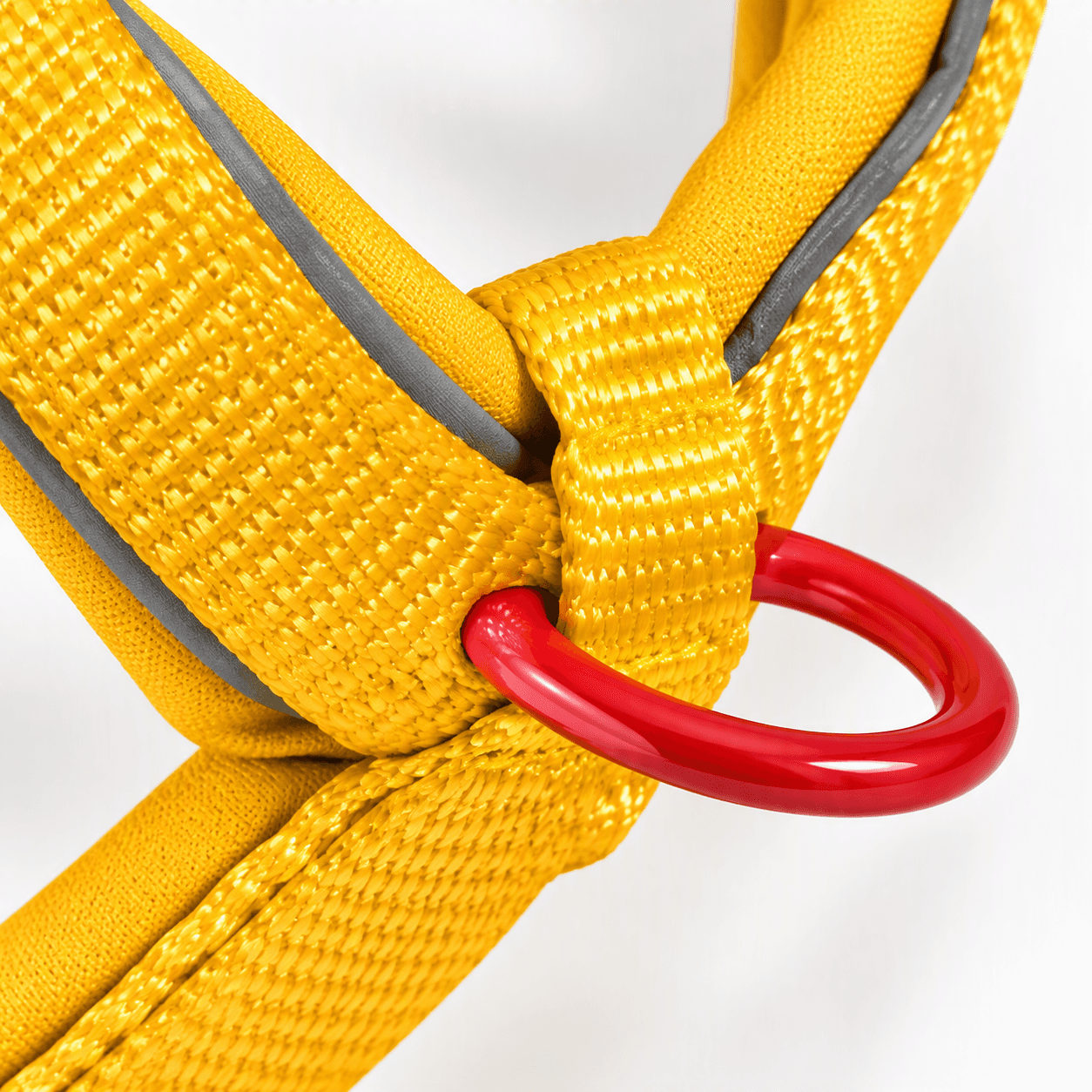 ZOLUX Premium-Nylon-Hundegeschirr, Größe XS, 30–40 cm, 15 mm, gelb – Bild 5