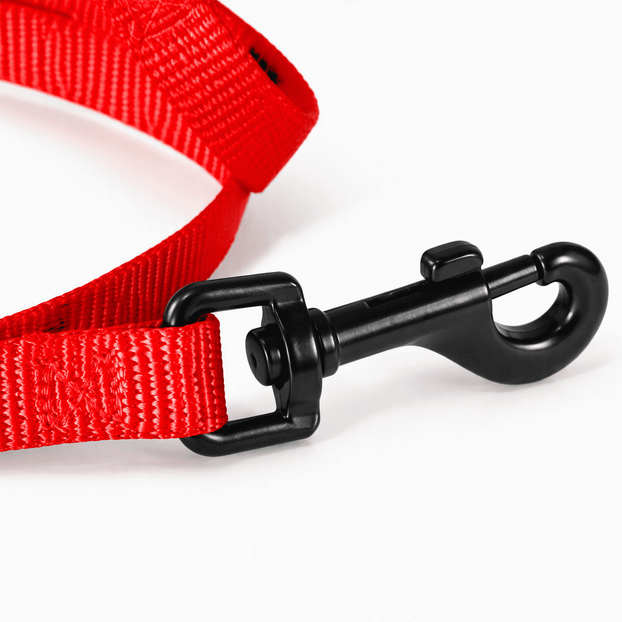 ZOLUX Klassische Nylon-Hundeleine, 1,20 m, 15 mm, rot – Bild 5