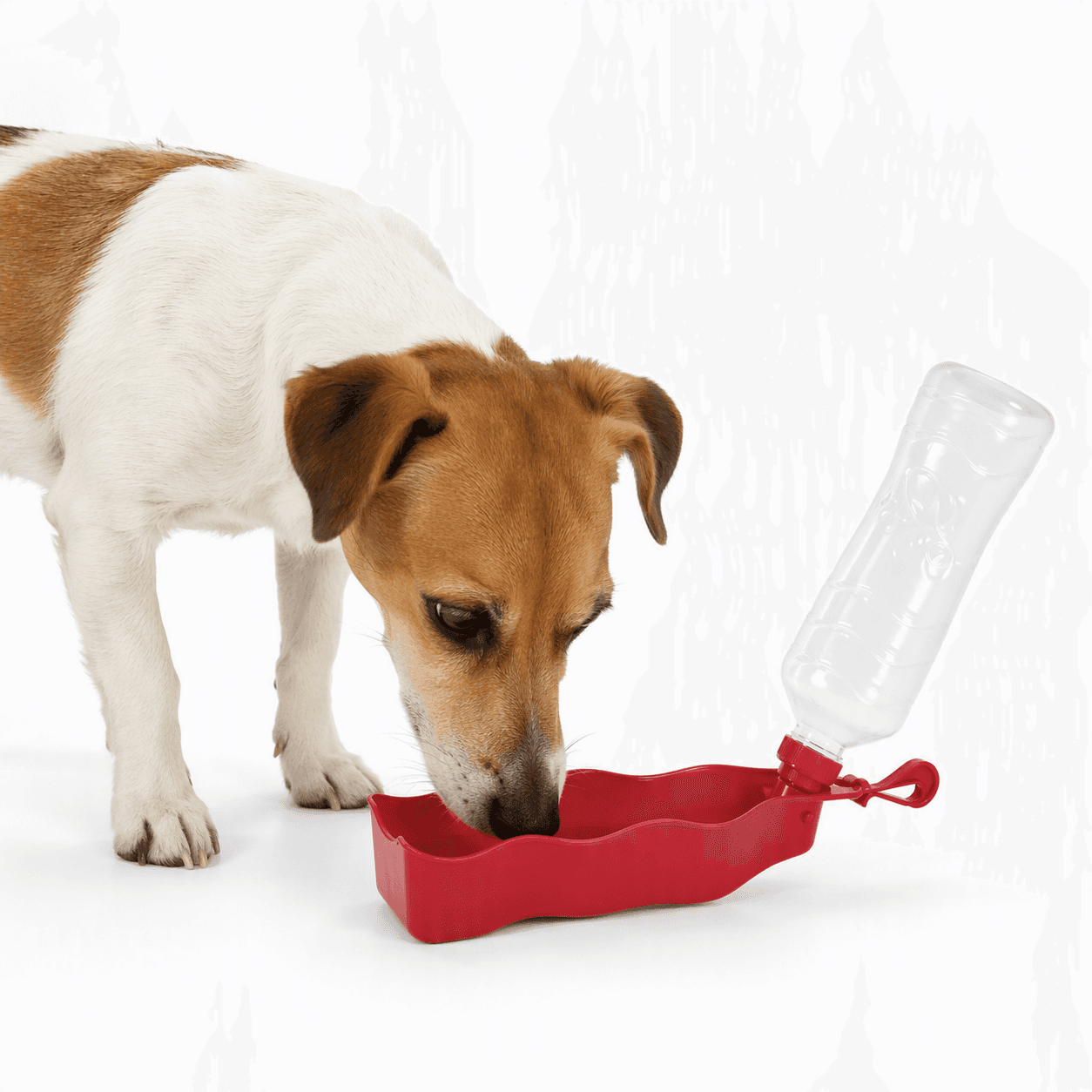 ZOLUX Faltbare Trinkflasche für Hunde BIVOUAK 450 ml rot – Bild 6