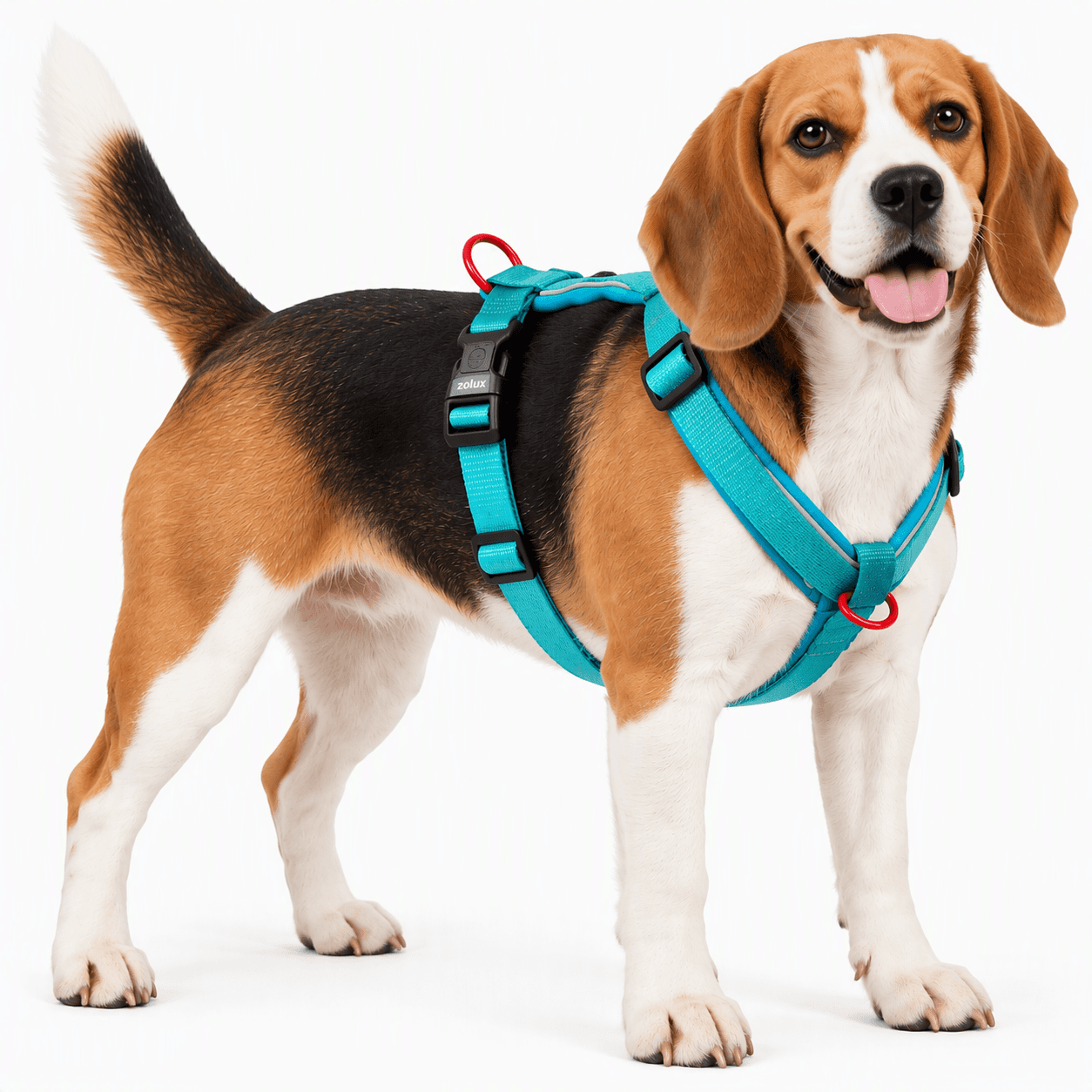 ZOLUX Premium-Nylon-Hundegeschirr, Größe M, 50–74 cm, 20 mm, türkis – Bild 6