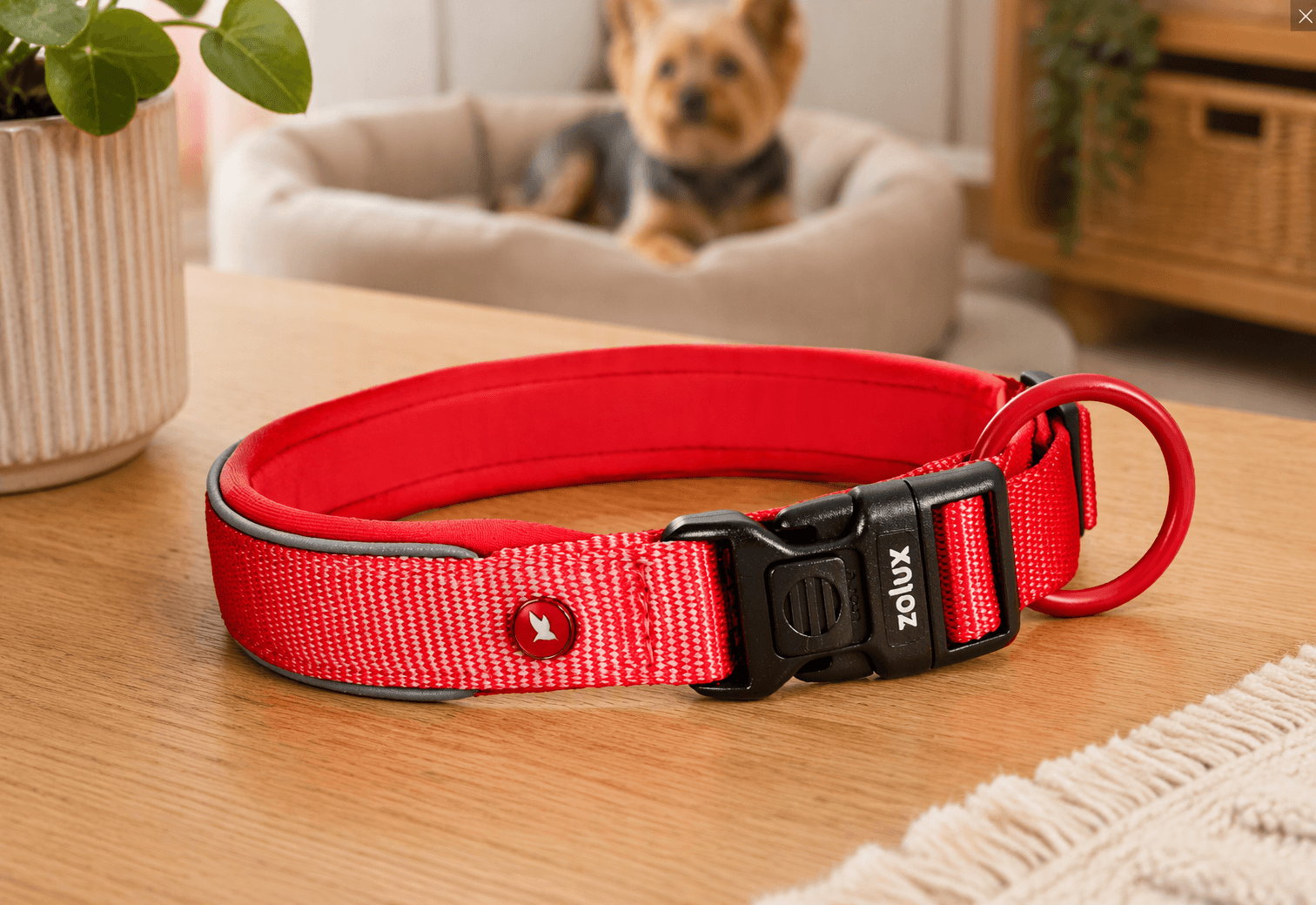 ZOLUX Premium-Nylon-Hundehalsband, Größe XXS, 25–30 cm, 15 mm, rot – Bild 6