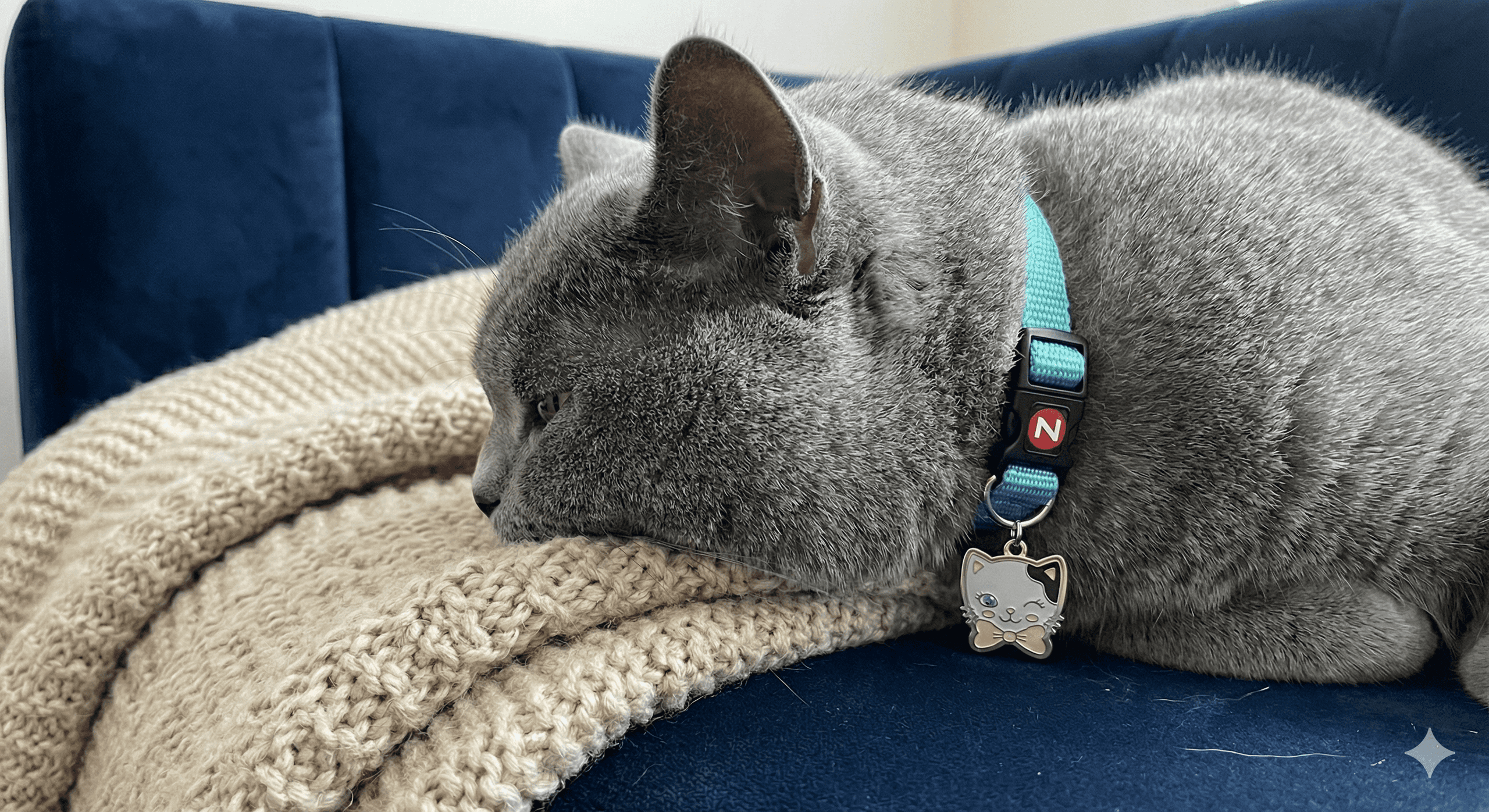 ZOLUX CHATOUILLE Katzenhalsband mit Katzen-Anhänger, blau – Bild 2