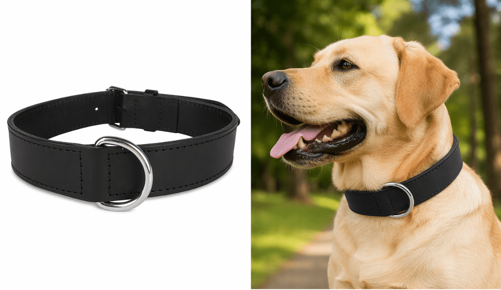 ZOLUX Verstärktes Hundehalsband aus Doppel-Leder, 80 cm, schwarz – Bild 3