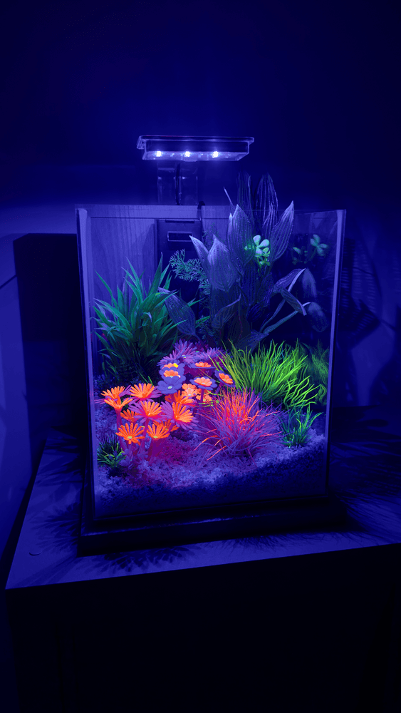 ZOLUX Aquariendekoration FLOWERS 3 rosa-orange fluoreszierend – Bild 3