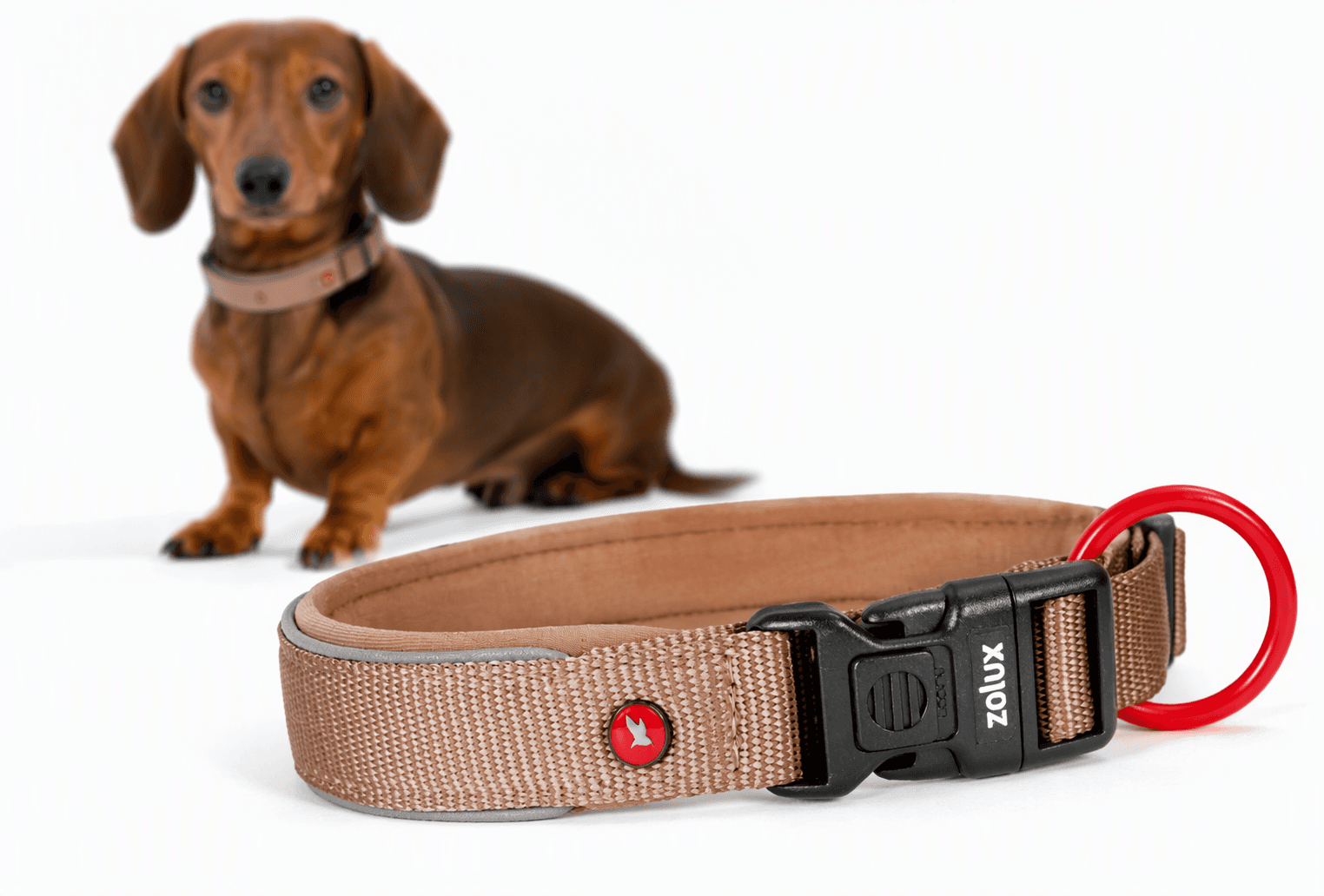 ZOLUX Premium-Nylon-Hundehalsband, Größe XS, 30–35 cm, 15 mm, mocha – Bild 1