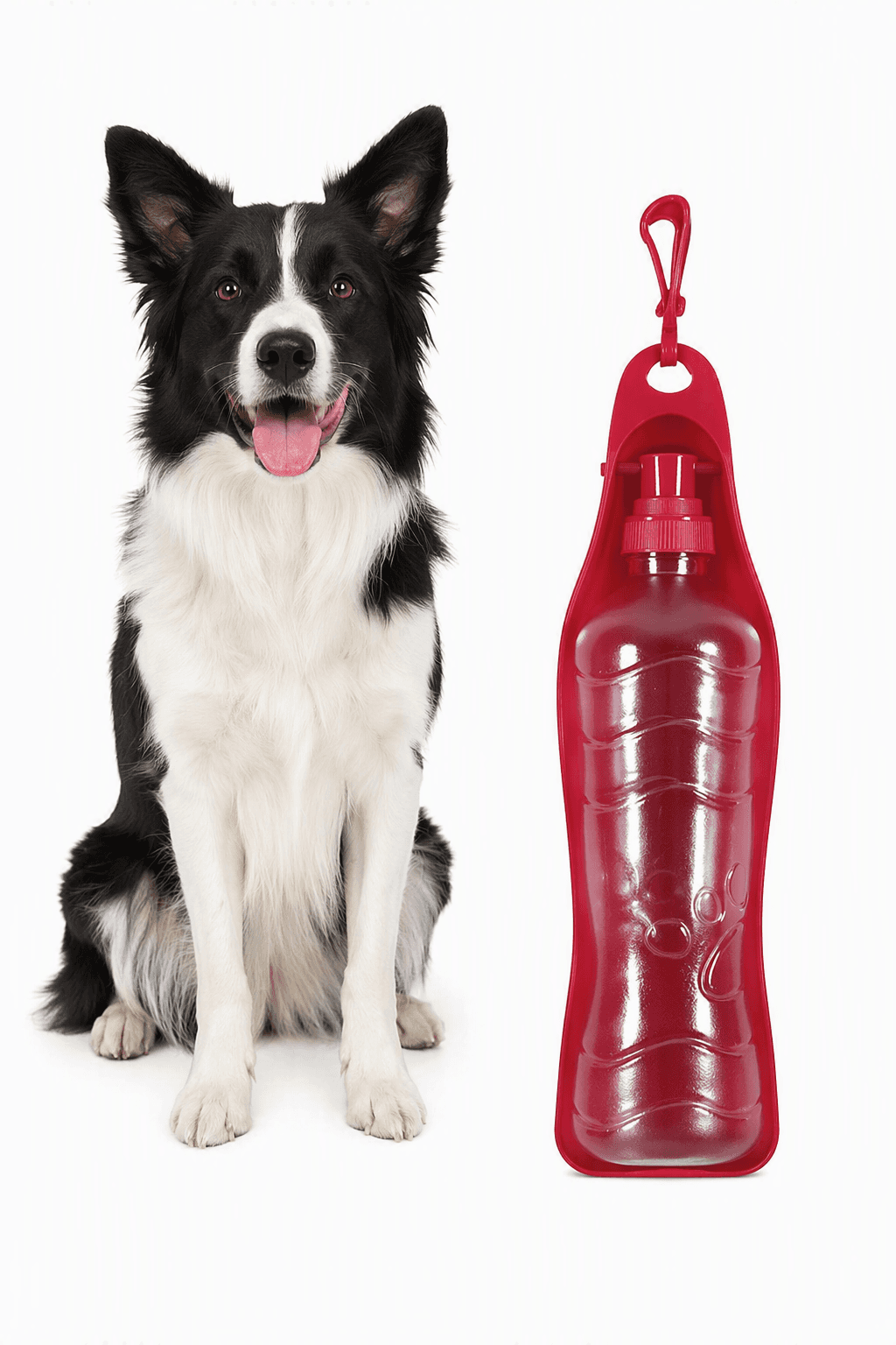 ZOLUX Faltbare Trinkflasche für Hunde BIVOUAK 450 ml rot – Bild 1