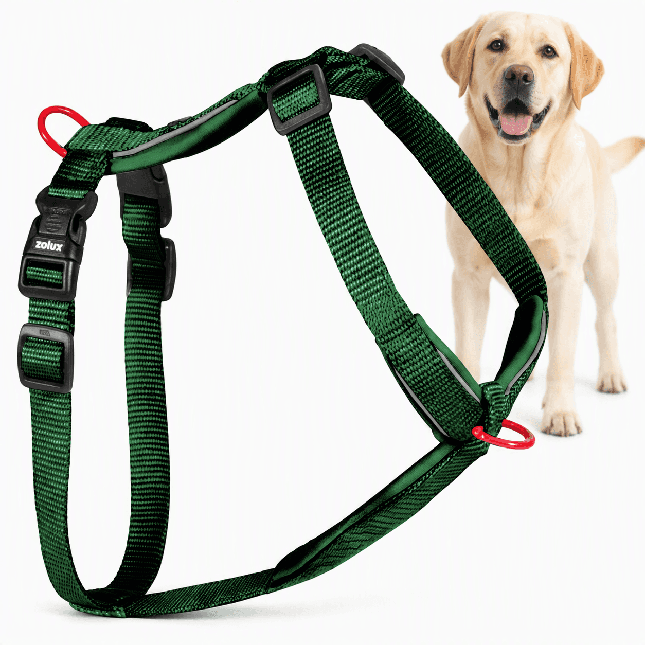 ZOLUX Premium-Nylon-Hundegeschirr, Größe L/XL, 65–97 cm, 25 mm, grün – Bild 1