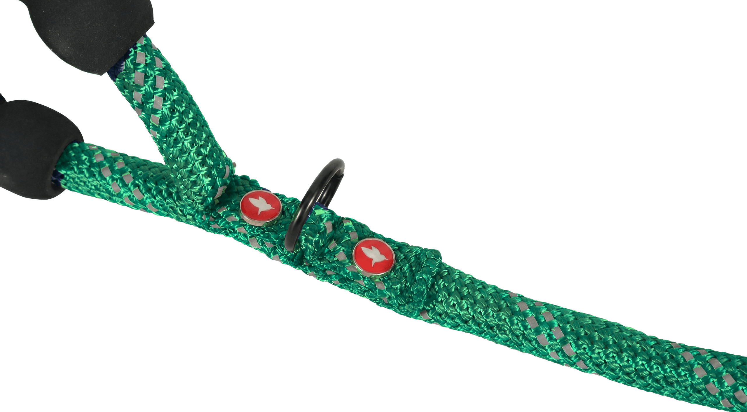 ZOLUX Seilleine für Hunde, 3 m, 13 mm, grün – Bild 2