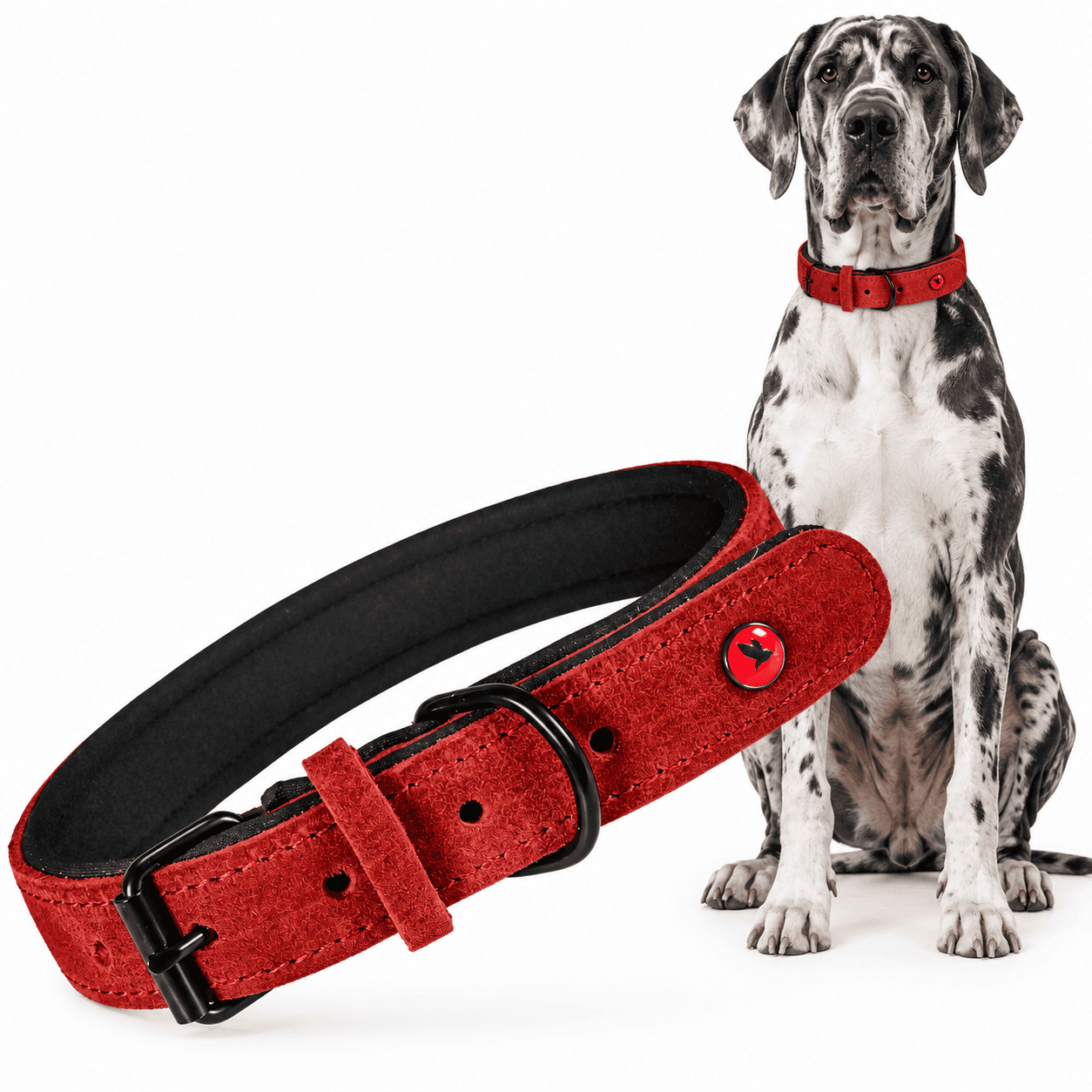 ZOLUX Komfort-Lederhalsband für Hunde, 63–74 cm, 30 mm, rot – Bild 3