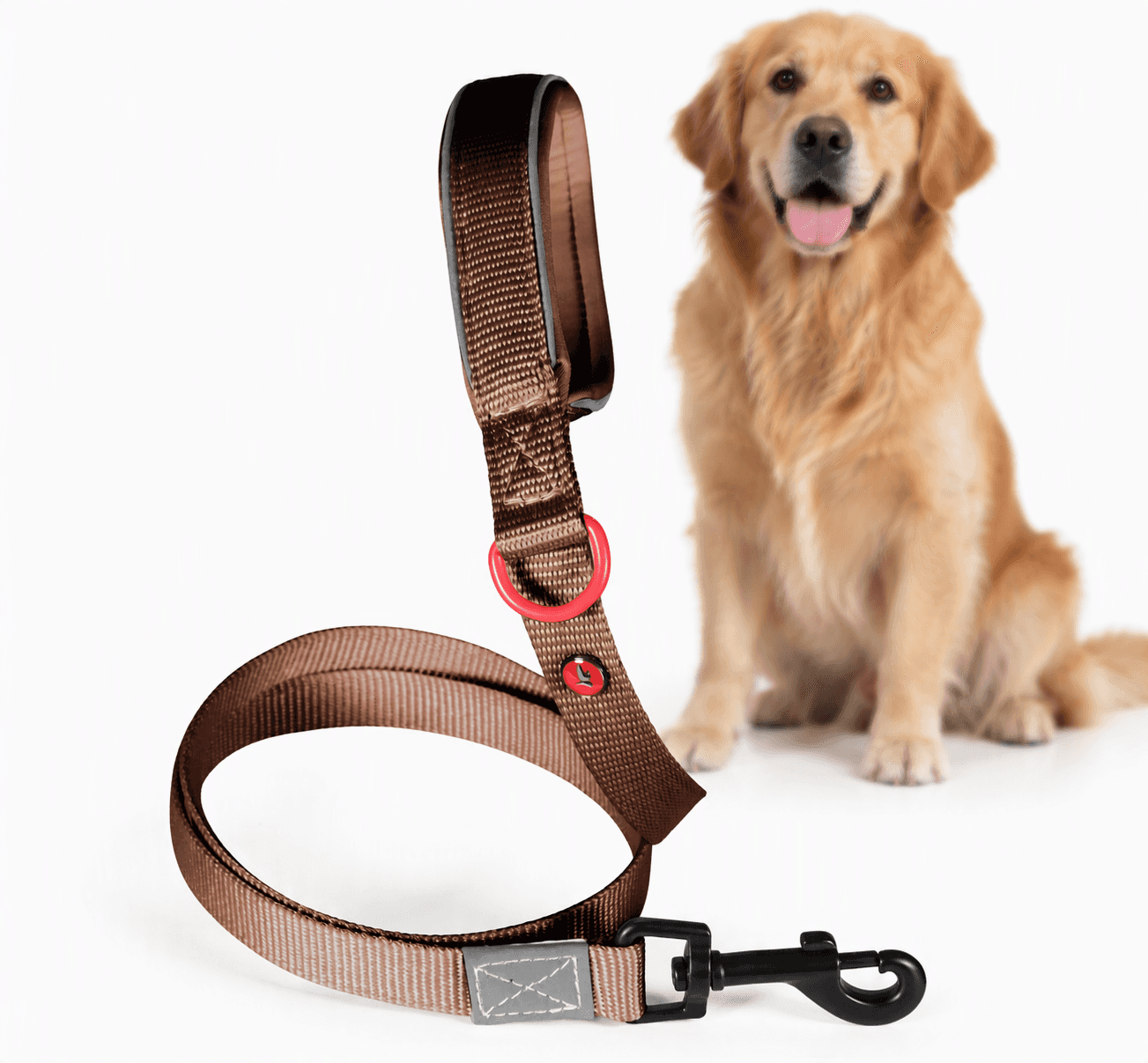 ZOLUX Premium-Nylon-Hundeleine, Größe XL, 1,2 m, 25 mm, mocha – Bild 1