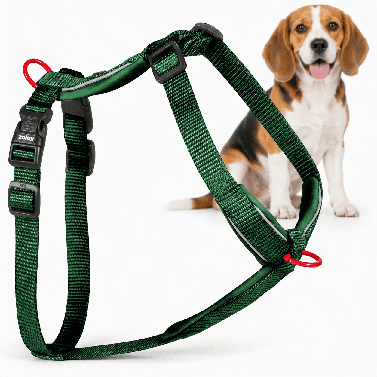 ZOLUX Premium-Nylon-Hundegeschirr, Größe M, 50–74 cm, 20 mm, grün – Bild 1