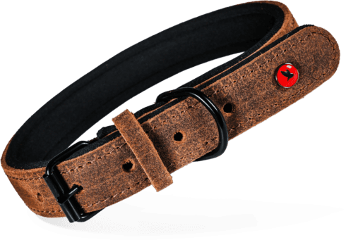 ZOLUX Komfort-Lederhalsband für Hunde, 33–39 cm, 18 mm, braun – Bild 2