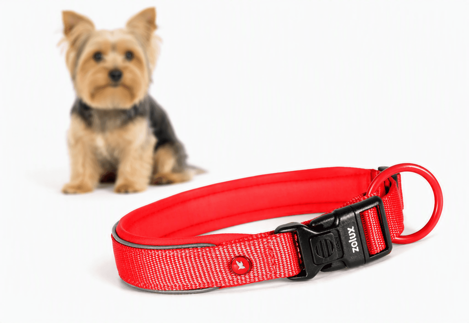 ZOLUX Premium-Nylon-Hundehalsband, Größe XXS, 25–30 cm, 15 mm, rot – Bild 1