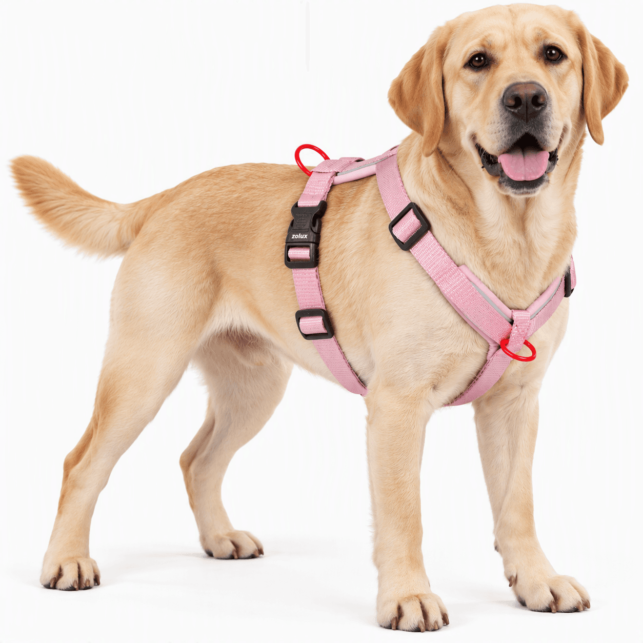 ZOLUX Premium-Nylon-Hundegeschirr, Größe L/XL, 65–97 cm, 25 mm, rosa – Bild 6