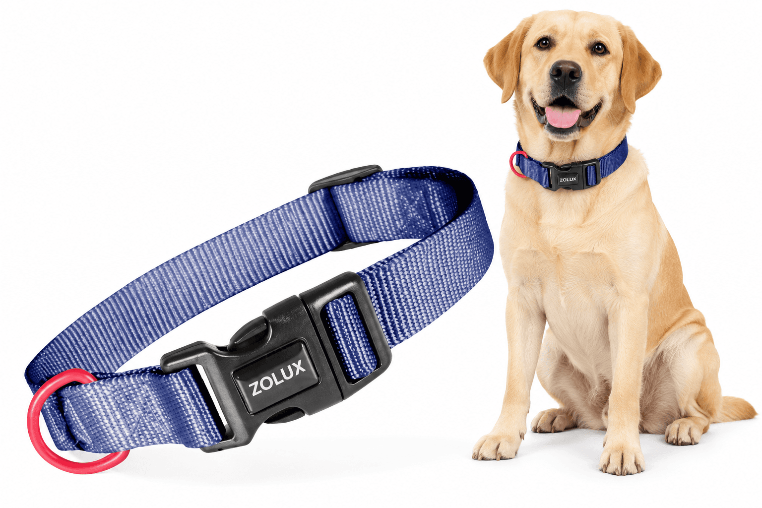 ZOLUX Klassisches Nylon-Hundehalsband, 37–58 cm, 25 mm, marineblau – Bild 1