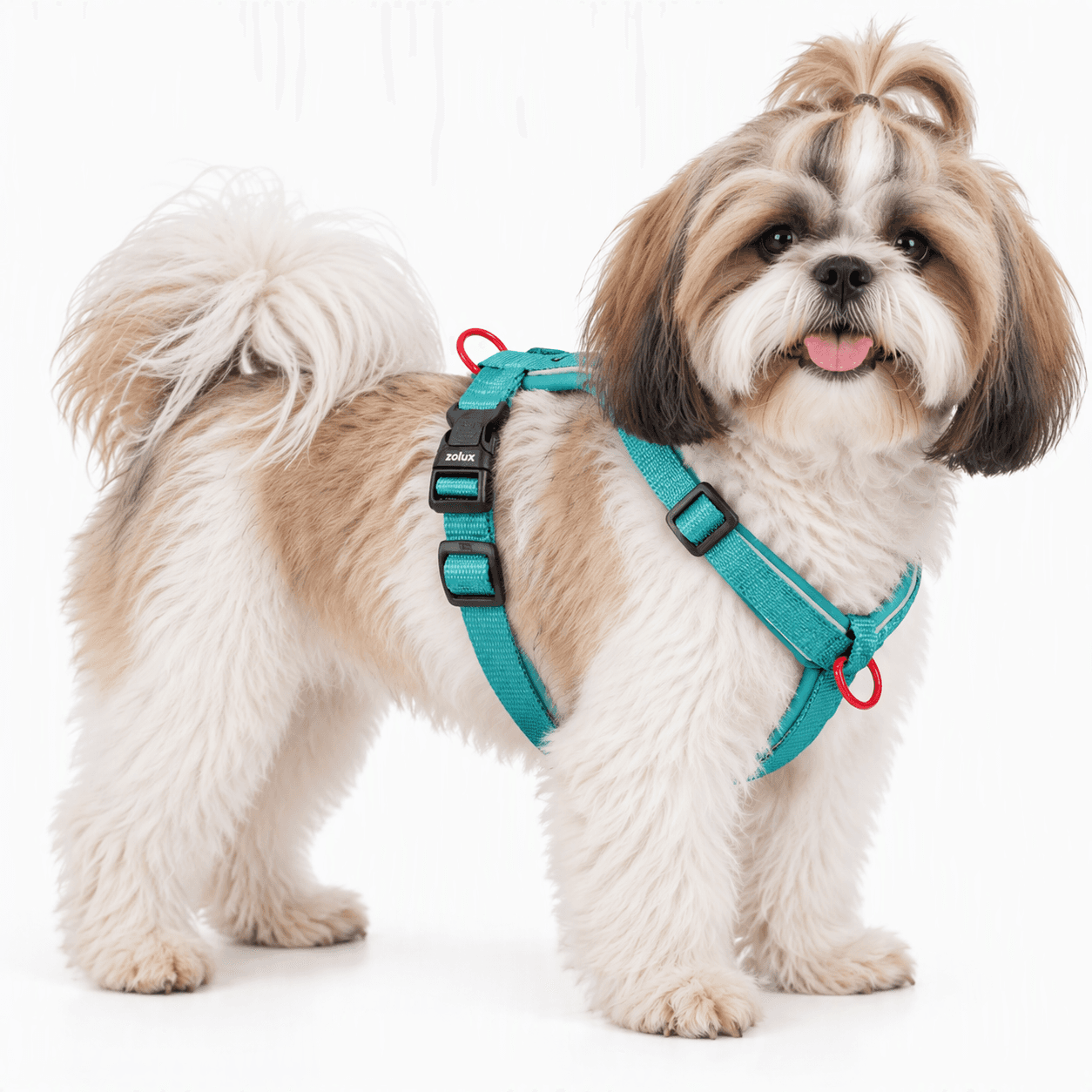 ZOLUX Premium-Nylon-Hundegeschirr, Größe S, 38–56 cm, 15 mm, türkis – Bild 7