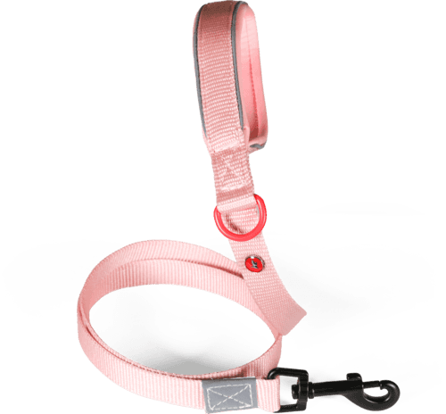 ZOLUX Premium-Nylon-Hundeleine, Größe M, 1,2 m, 20 mm, rosa – Bild 2