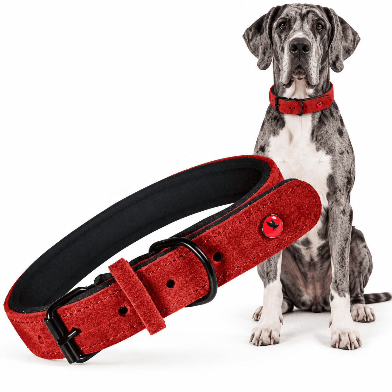 ZOLUX Komfort-Lederhalsband für Hunde, 53–65 cm, 30 mm, rot – Bild 1