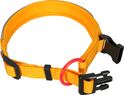 ZOLUX Premium-Nylon-Hundehalsband, Größe M, 40–45 cm, 20 mm, gelb – Bild 7