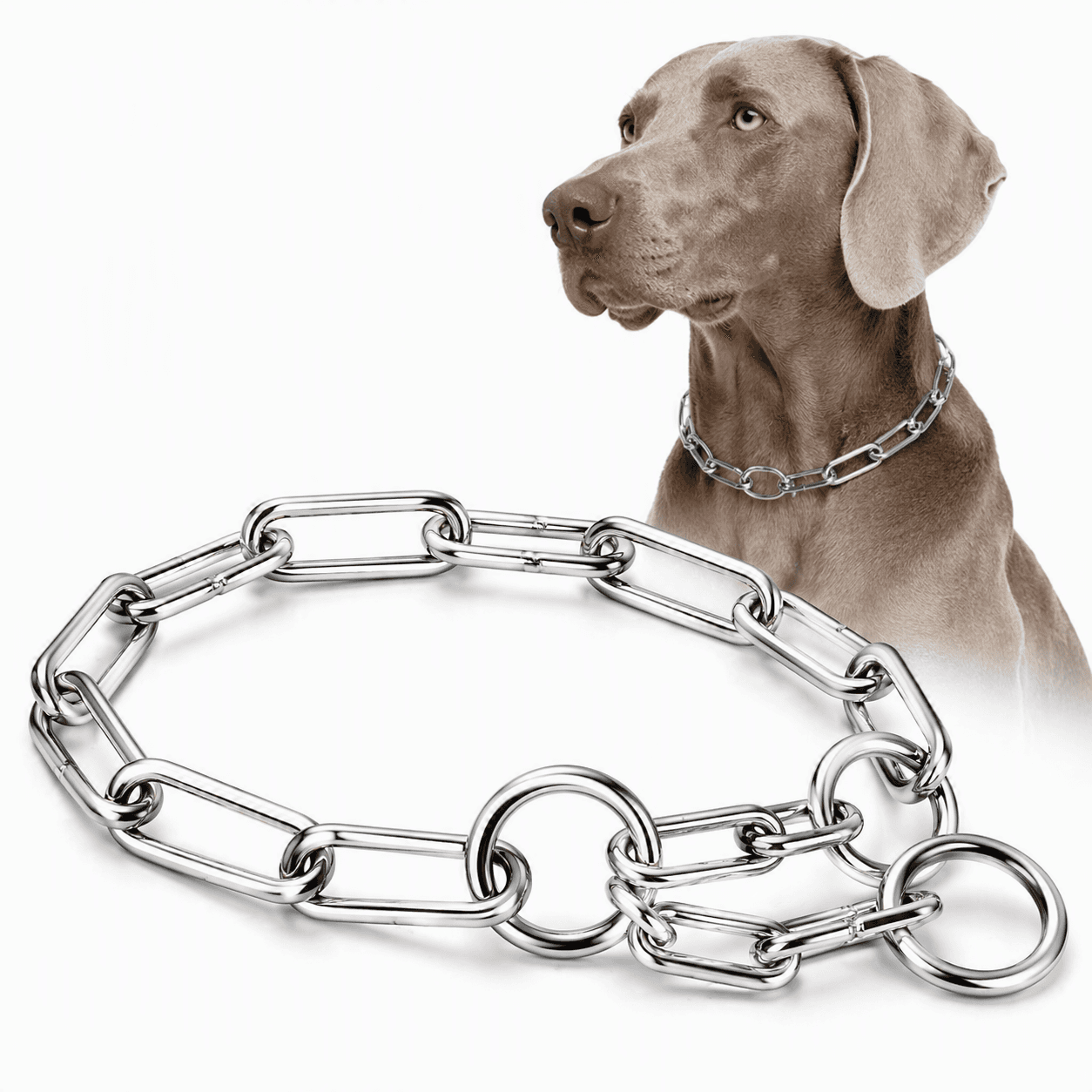 ZOLUX Metall-Würgehalsband für Hunde, 64cm – Bild 6
