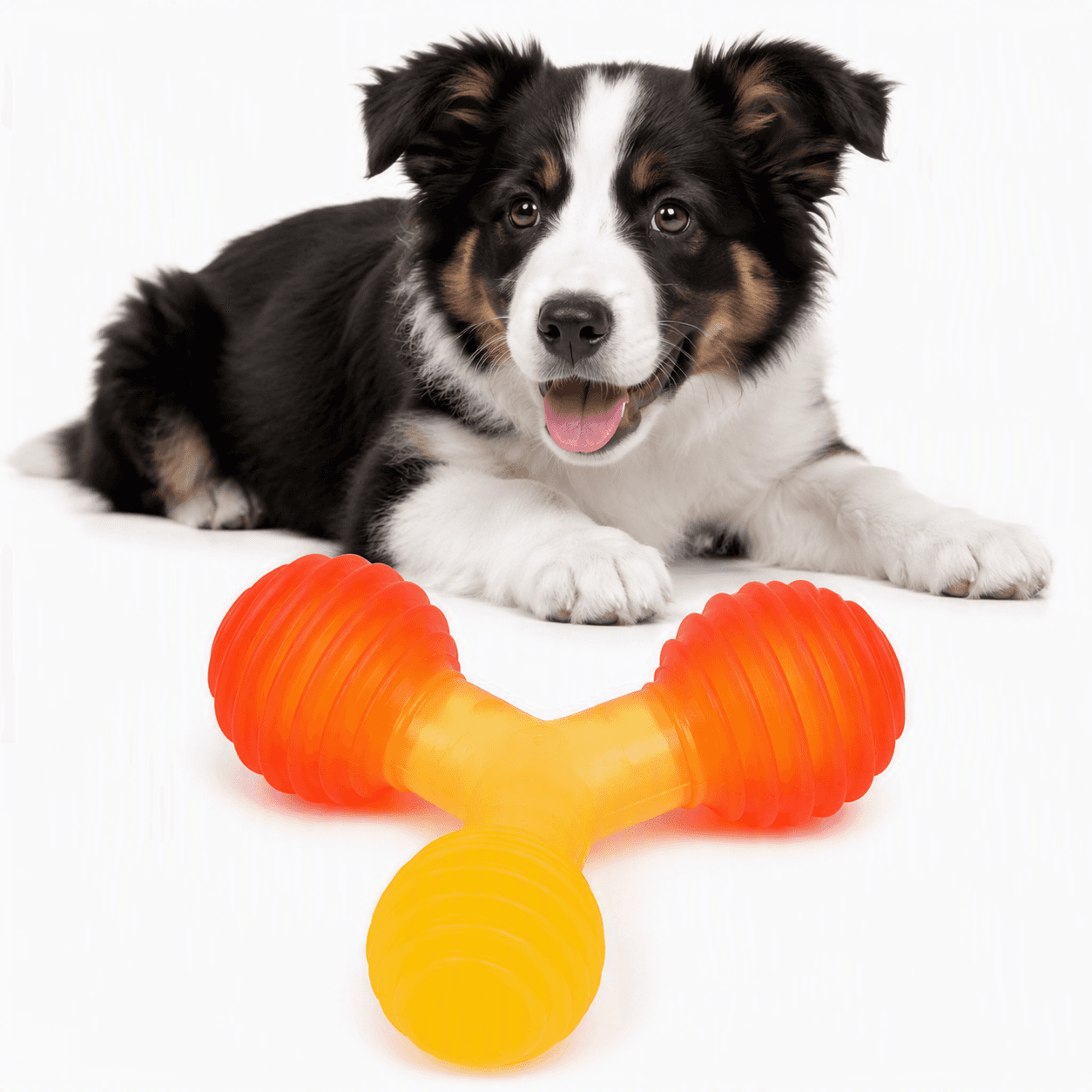 ZOLUX GUMMIES TPR-Kauspielzeug Dreizack 12 cm – Bild 9