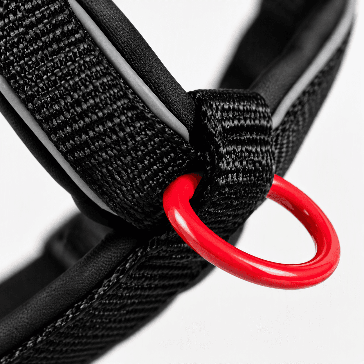 ZOLUX Premium-Nylon-Hundegeschirr, Größe M, 50–74 cm, 20 mm, schwarz – Bild 5