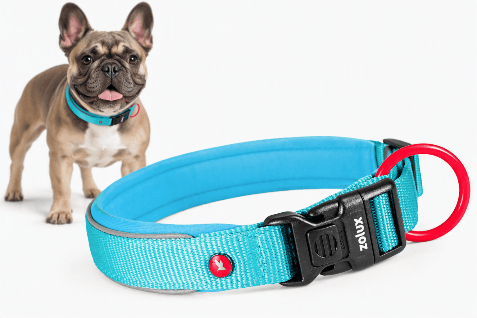 ZOLUX Premium-Nylon-Hundehalsband, Größe S, 35–40 cm, 20 mm, türkis – Bild 1